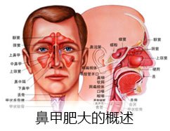 鼻甲肥大治疗哪家医院好