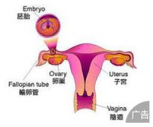 久坐族需警惕输卵管堵塞