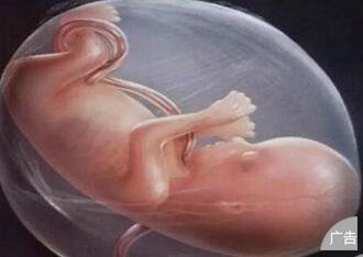 是什么原因导致了胎儿发育过大