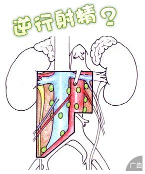 逆行射精会导致哪些危害