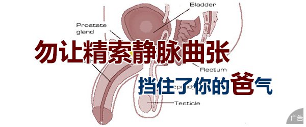 得了精索静脉曲张的危害有哪些