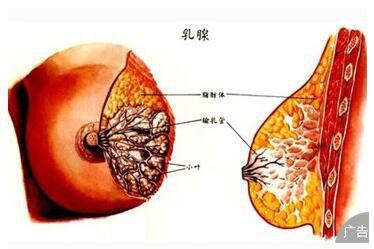 乳腺增生的治疗方法是什么