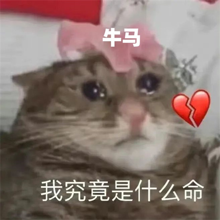 640 (94)_副本.jpg
