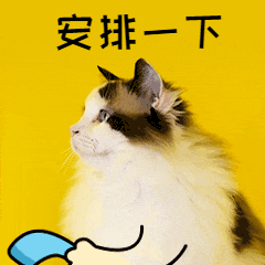 微信图片_20241030155949.gif